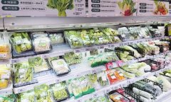 发证全包费用近2万元；但朱立